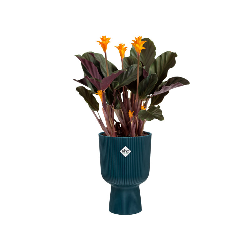 Pot Planter, Deep Blue