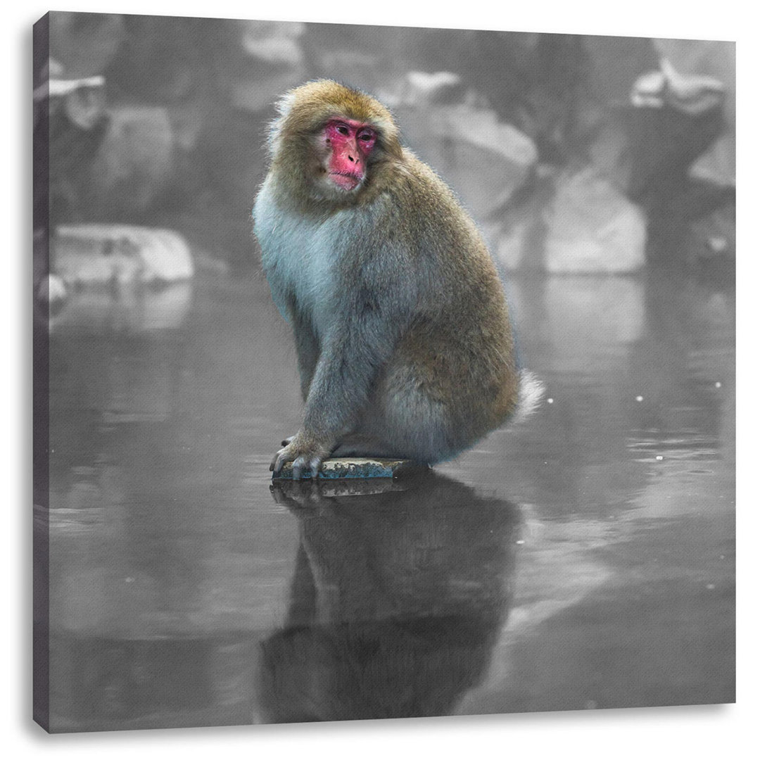 Leinwandbild Snow Monkey on Flounder in Hot Spring