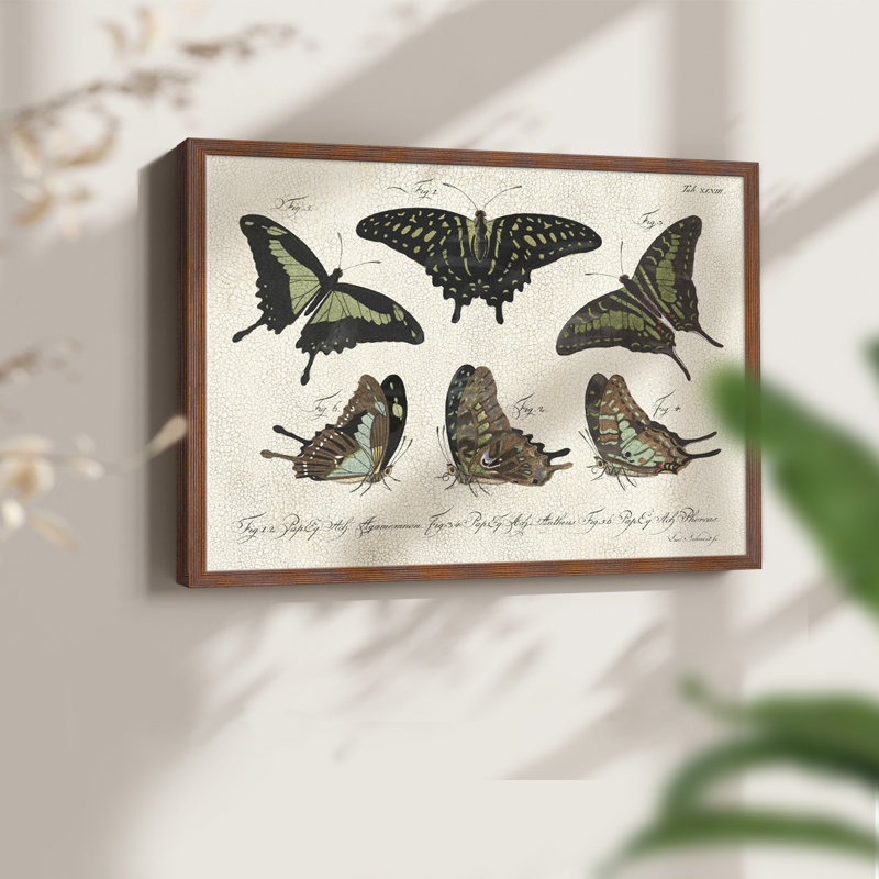 «Crackled Butterflies II», reproduction encadrée, H 22 po x l 28 po, Noyer