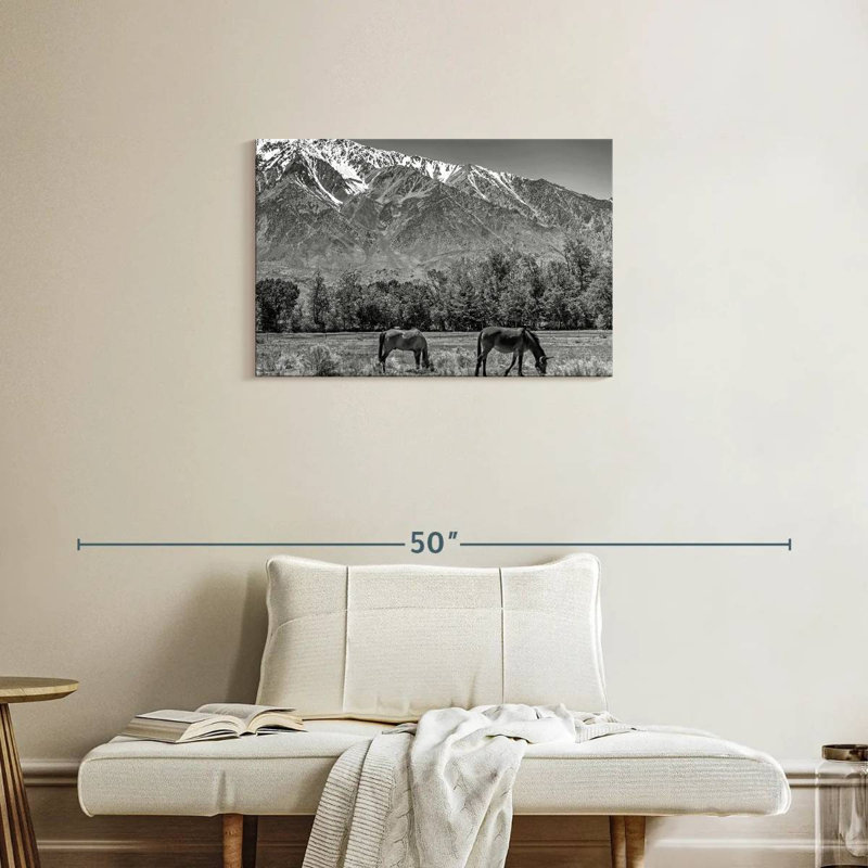 Alvord Monochrome Sierra Nevada, 20" H x 30" W