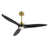 Gold with Black Blades is unavailable