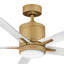 Ventilateur intelligent DEL Hinkley Fan Vail