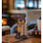 Bear Decor - Set/3