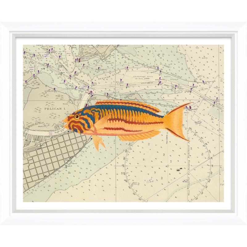 Vibrant Fish 4 Giclee Print