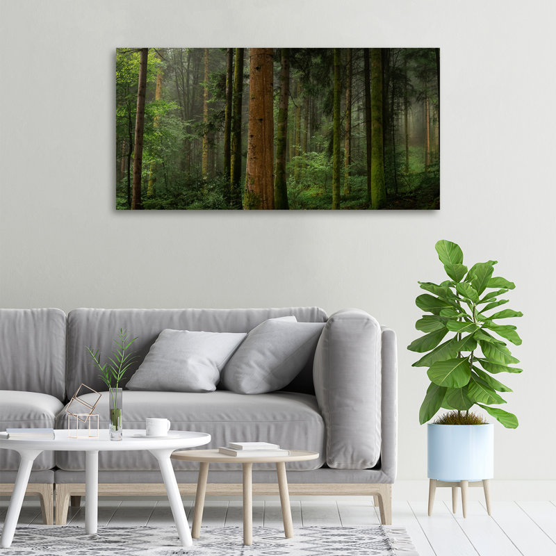 Fog In The Forest - No Frame Print on Canvas, 50cm H X 100cm W