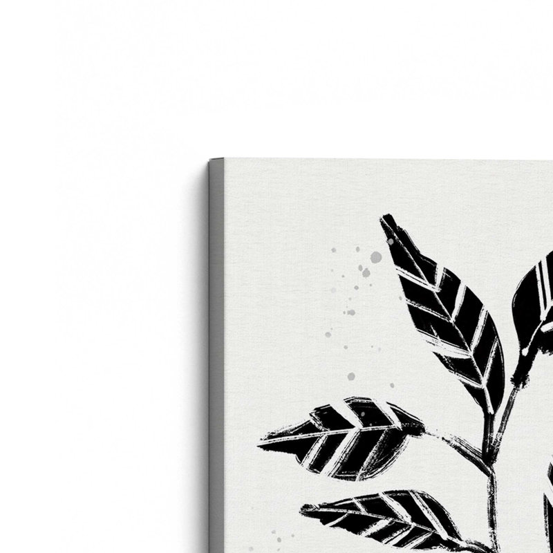 «Black and White Botanicals V»
