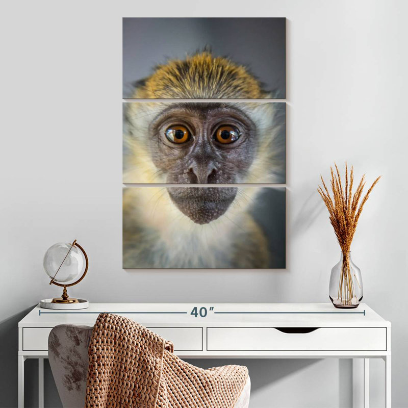 Brampt Vervet Monkey, 32" H x 20" W