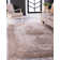 Oriental Indoor Rug
