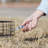 Weather Resistant Squirrel Cage