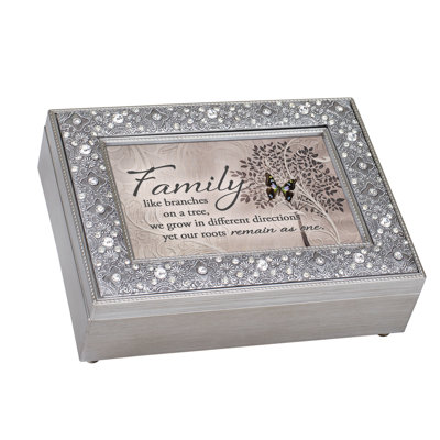Plastic Memory Box