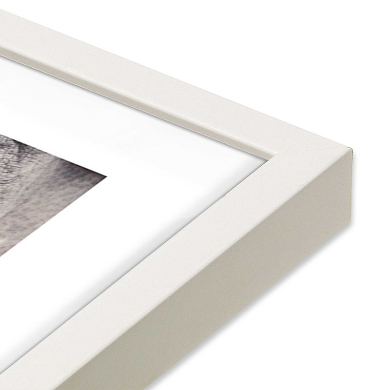 «Wise Gaze Print», dans un cadre,, H 25 po x l 19 po x P 1,25 po, Cadre opaque blanc