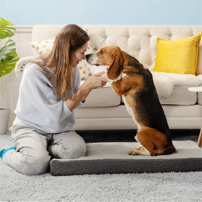 Kinde Pet Bed Accessory