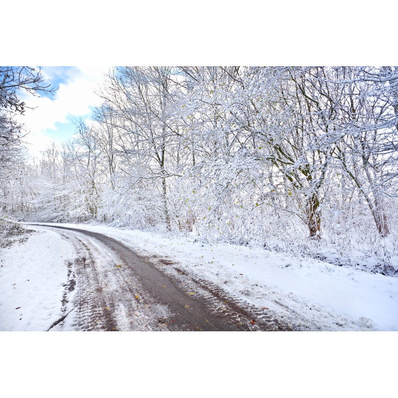 Snowy Winter - Photographie sur toile tendue, H 8 po x l 12 po