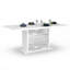 Stanley Extendable Dining Table-546183033