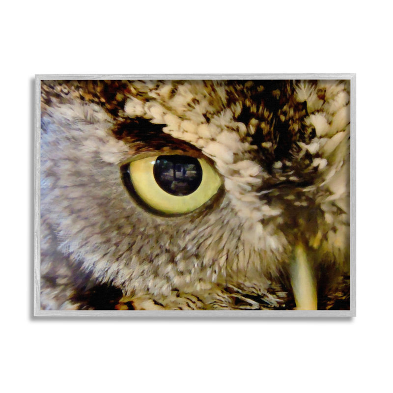 «Owl Eye Close Up Wildlife» encadré sur bois par Graffi * Tee Studios, peinture, H 11 po x l 14 po x P 1,5 po