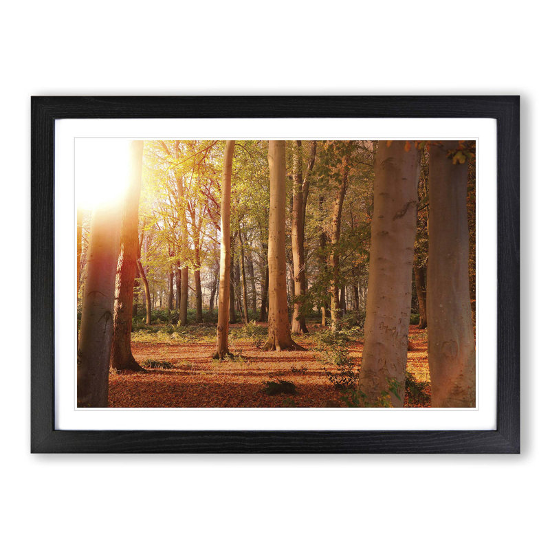 Landscape Autumn Forest Wood Framed Print, Black
