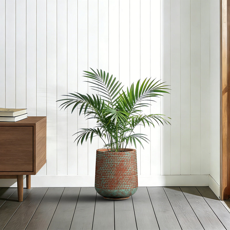12 in. Medium Teal Patterns Concrete Tall Round Planter Pot with Drainage Holes for Indoor & Outdoor, Upgraded Interior, Teal
