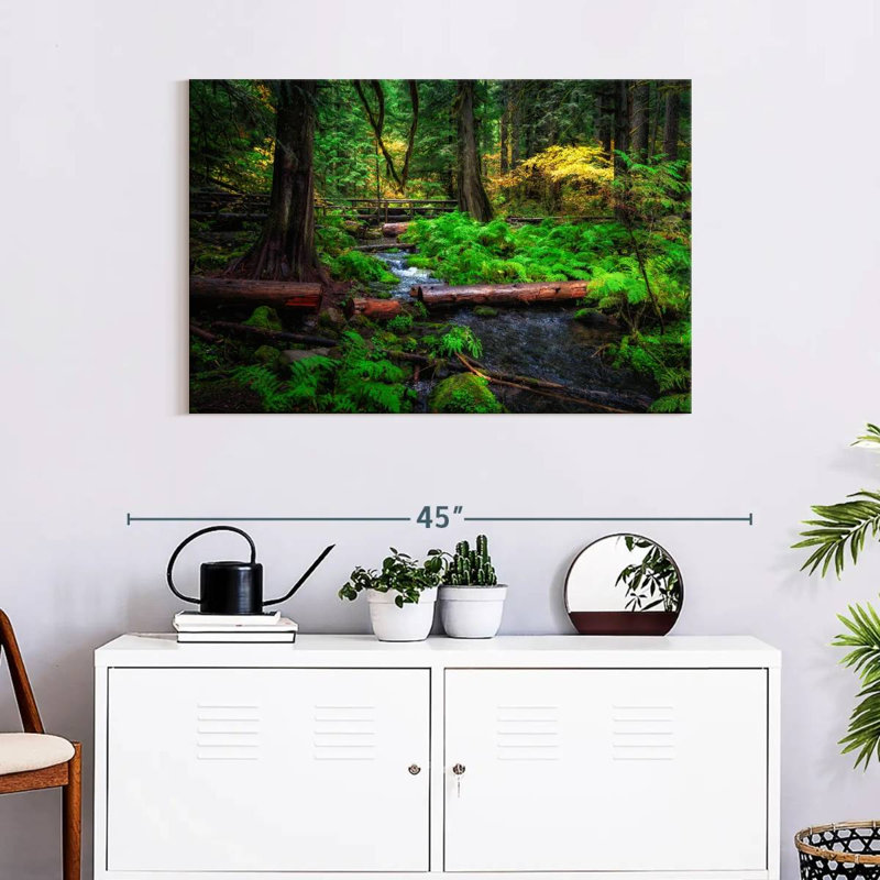 Ruisseau Alvord Willamette National Forest, H 24 po x l 36 po
