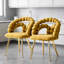 Ensemble de 2 chaises de salle à manger