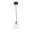 1-Light Dimmable Modern Industrial Bell Clear Ripple Glass Pendant-699009798-699009796