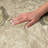 Premium Machine Washable Dream Shag Fish Rug-769054260