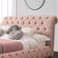 Upholstered Bed-49712905-49712895