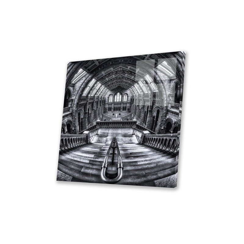 Harry Potter rencontre Escher et Darwin