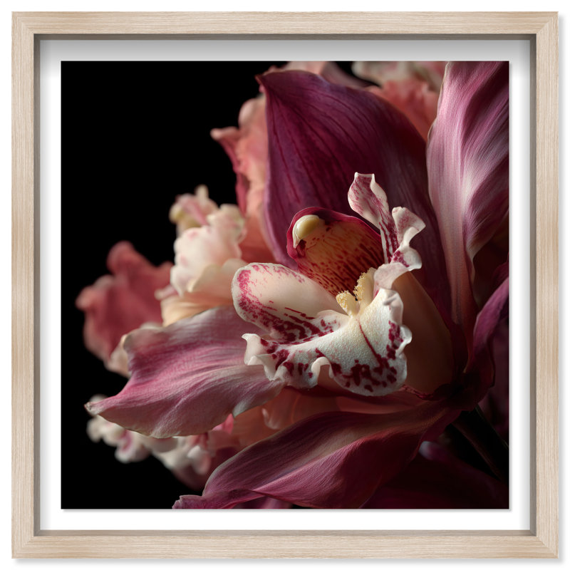 Velvet Labellum Print by Oliver Gal, 21.5"H x 21.5"W, Natural Oak Shadowbox
