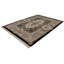 9'X12' Oriental Area Rug in Black