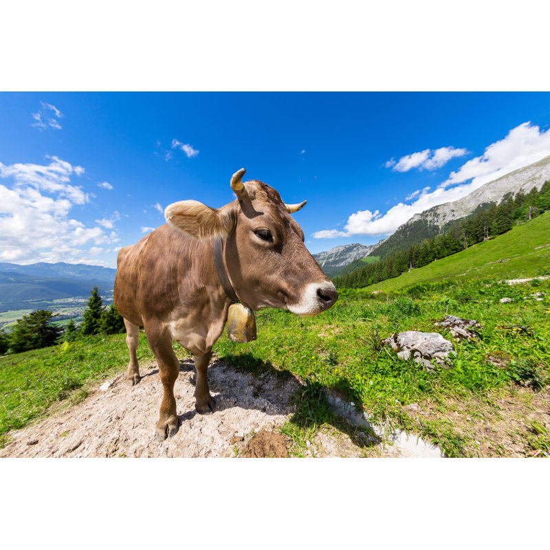 Brown Cow by Grafner - Wrapped Canvas Print, 20cm H x 30cm W