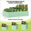 Planter-1731103608