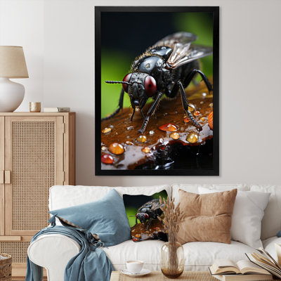 " Insects Bugs Portrait I "