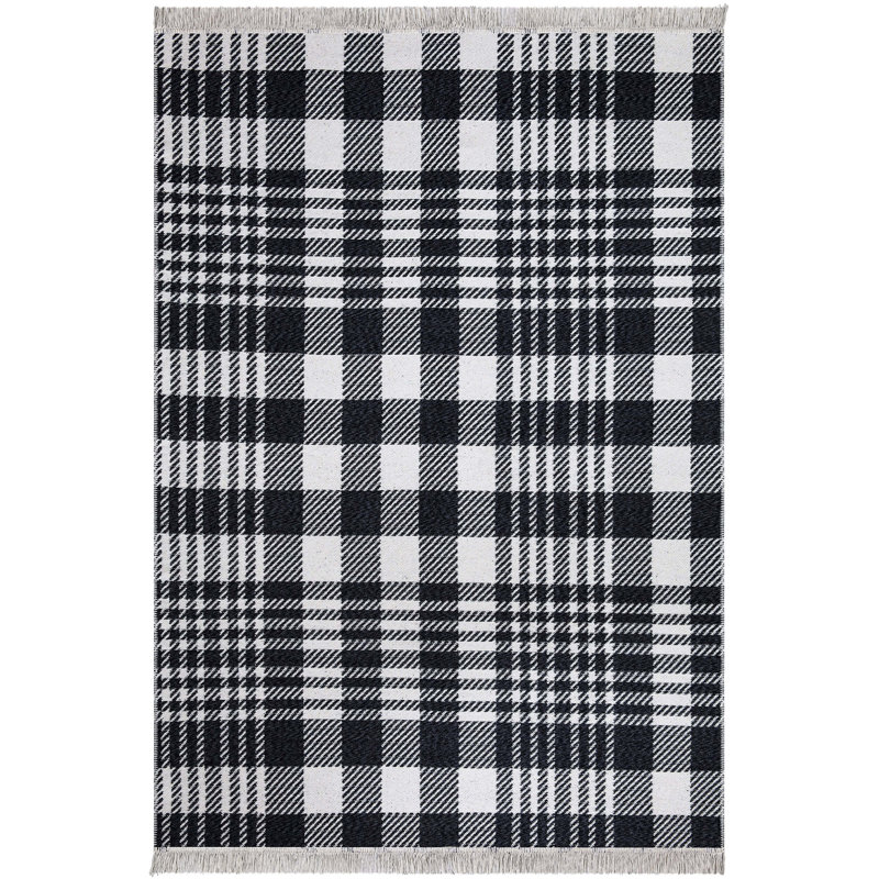 Rioux Cotton Plaid Indoor Rug, Rectangle 2'8" x 5'