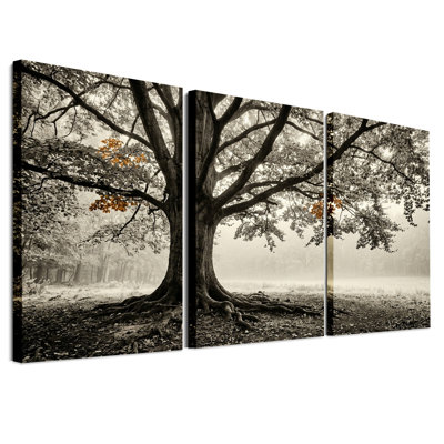 Arbre avec des racines exposées et des feuilles orange en brume, ensemble de 3 toiles