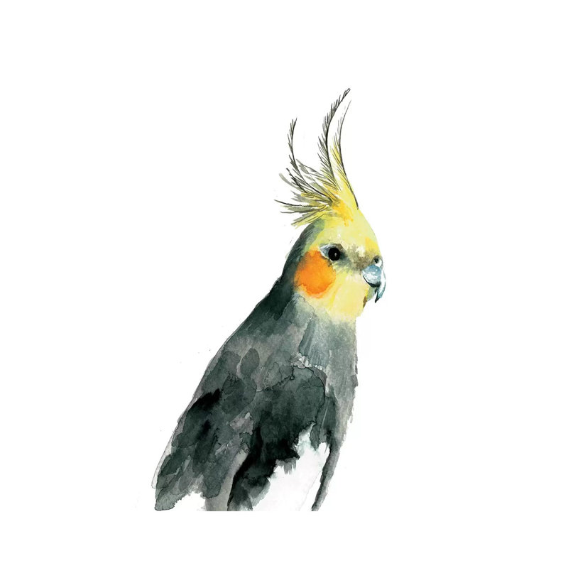 Cockatiel II by Albina Bratcheva - Wrapped Canvas Painting, 66.04 cm H x 45.72 cm W x 3.175 cm D