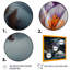 Une fleur de crocus en fleurs III - Photographie sur toile-1423123014-1423123015