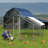 Danasia 123.19 Square Feet Walk In Chicken Run with Chicken Run for up to 15 Chickens