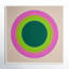 'Colorful Circles' Framed Graphic Art Print