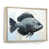 Natural Floater Framed