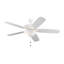Ventilateur de plafond standard à 5 pales de 60 po avec chaînette et ensemble d'éclairage inclus Colony-1551166