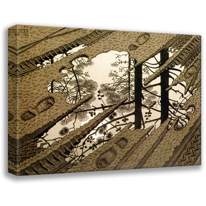 Toile tendue Puddle par M.C.Escher Gallery, H 17 po x l 24 po