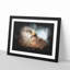 Portrait Of A Red Kite Bird - Single Picture Frame Print on MDF-56866968-56866966