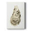 «Neutral Oyster Study I - Gallery»-1617770576