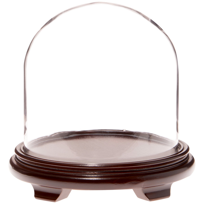 Cloche en verre 9,75 "x 10" Brighton, Base en placage de bois de noyer