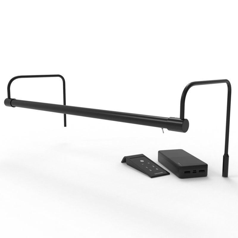 Luminaire de galerie Tru-Slim avec prise et télécommande, H 9 po x l 21 po x P 9 po, Noir / Laiton, H 9 po x l 21 po x P 9 po