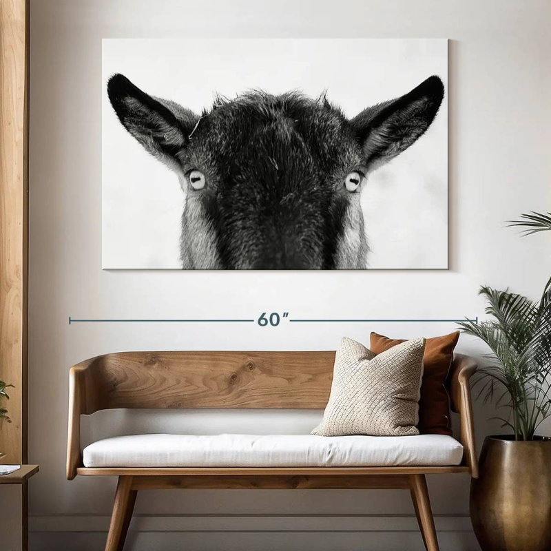 Peeking Black Goat, 34" H x 51" W