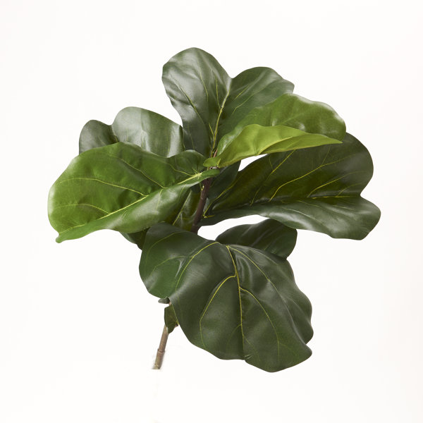Primrue TL835 21 Faux Fiddle Leaf Fig Branch | Wayfair TL835 21 Faux Fiddle Leaf Fig Branch