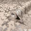 City Romance Collection Stippled Geometric Wallpaper Roll-465343593