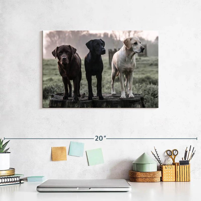 Brampt Labrador Dogs, 8" H x 12" W