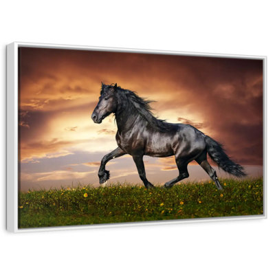 Baroque Horse